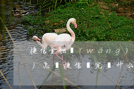 捷信金融網(wǎng)貸不還會(huì)怎樣(捷信還完為什么不能貸款)