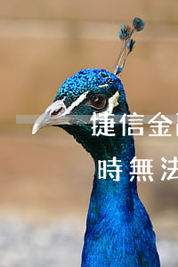 捷信金融貸款還不上怎么辦(捷信金融貸款暫時無法還有什么辦法解決)