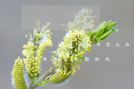 捷信金融逾期一年怎么办(捷信金融贷款逾期了两天会有影响吗?)