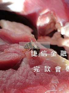 捷信金融逾期了怎么解決(捷信金融逾期了 還完款會恢復征信嗎)