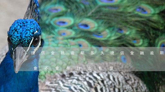 捷信金融逾期多久(捷信金融逾期四天就還了會不會有什么影響)