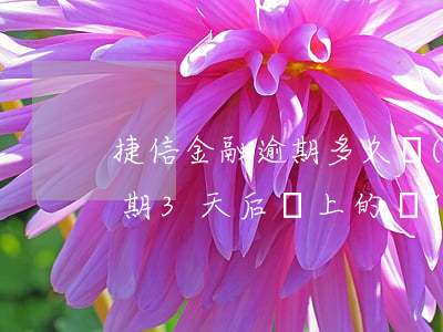 捷信金融逾期多久會(huì)代償(捷信逾期3天后還上的,會(huì)有什么影響嗎)