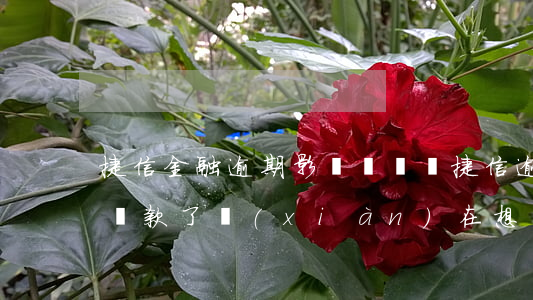 捷信金融逾期影響買車嗎(捷信逾期兩年以上還款了,現(xiàn)在想貸款買車,能辦的下來么)