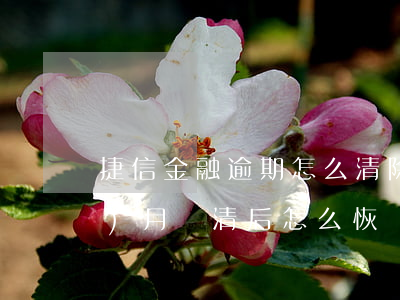 捷信金融逾期怎么清除 捷信逾期7個(gè)月還清后怎么恢復(fù)征信