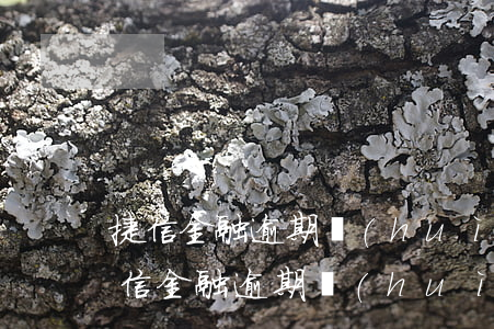捷信金融逾期會(huì)影響家人嗎-捷信金融逾期會(huì)影響以后貸款買(mǎi)房嗎