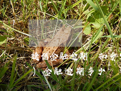 捷信金融逾期會扣多少錢(捷信消費(fèi)金融逾期多少錢才會上門催收)