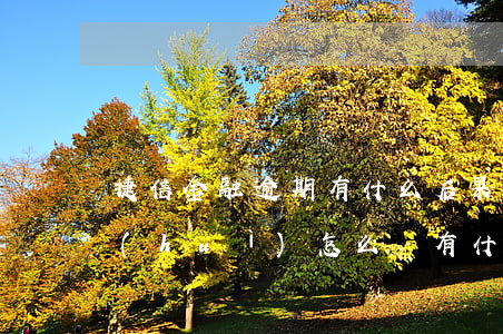 捷信金融逾期有什么后果(捷信貸款有逾期會(huì)怎么樣 有什么影響?)