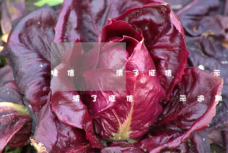 捷信錢還清了征信還顯示逾期金額-捷信錢還清了征信還顯示逾期金額嗎