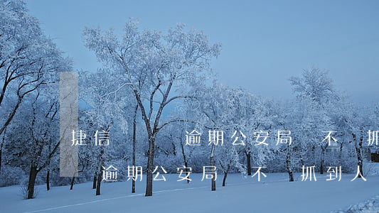 捷信長時間逾期公安局會不會抓-捷信長時間逾期公安局會不會抓到人