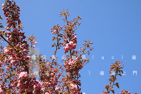 捷信黃山地區(qū)逾期上門嗎(捷信黃山地區(qū)逾期上門嗎)