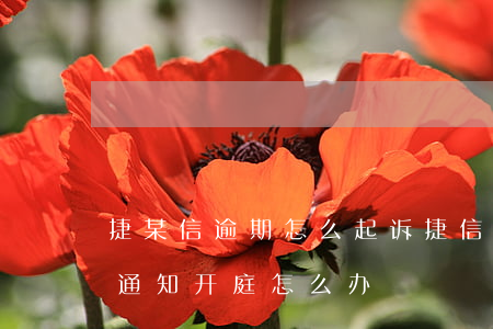 捷某信逾期怎么起诉 捷信贷款逾期起诉了并通知开庭怎么办