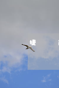 捷訊貸款逾期幾個月(捷信息逾期會怎么樣)
