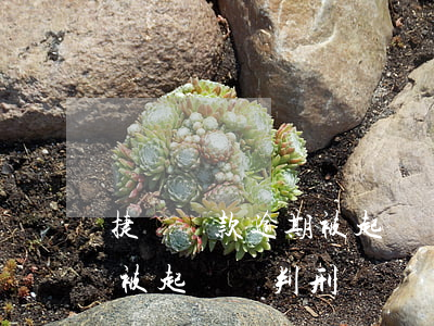 捷訊貸款逾期被起訴會判刑嗎(捷訊貸款逾期被起訴會判刑嗎)