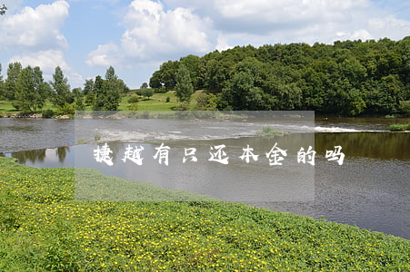 捷越有只还本金的吗