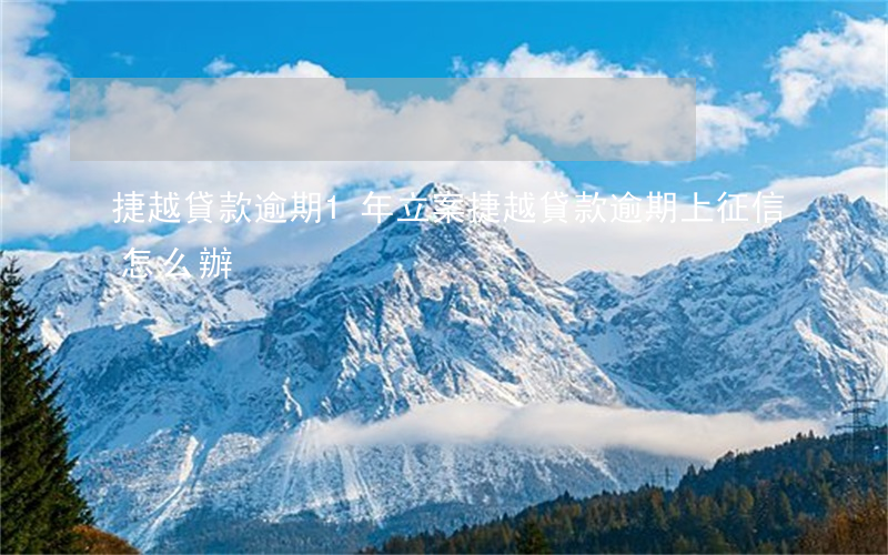 捷越貸款逾期1年立案(捷越貸款逾期上征信怎么辦)