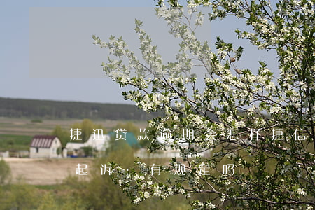 捷迅贷款逾期会怎样(捷信贷款逾期多久会被起诉:有规定吗?)