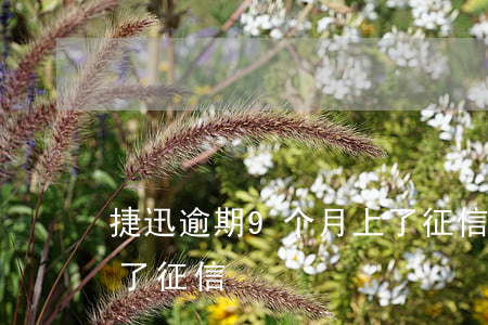 捷迅逾期9个月上了征信(捷迅逾期9个月上了征信)