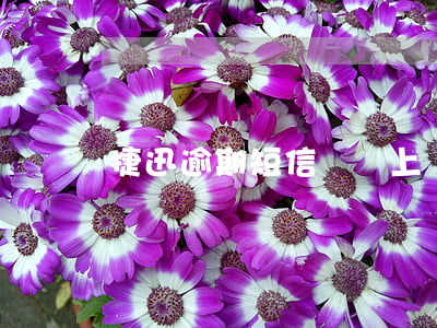 捷迅逾期短信來說上門是否會真來-捷迅借貸電話