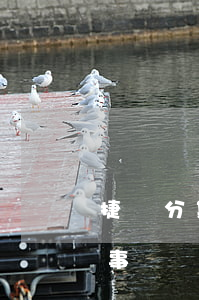 捷銀分期逾期幾天沒事（捷銀分期逾期幾天沒事）