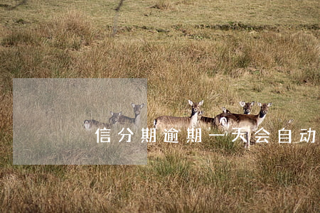 捿信分期逾期一天会自动扣款吗-倢信分期