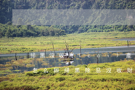 掃黑沒收財(cái)產(chǎn)家屬怎么辦(掃黑除惡沒收財(cái)產(chǎn)夫妻共同財(cái)產(chǎn)會(huì)沒收嗎)
