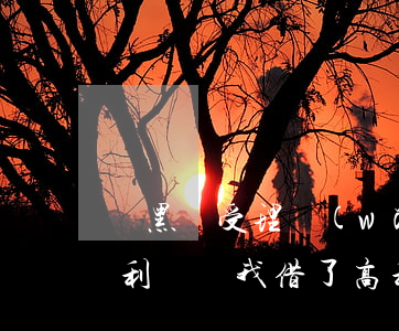 掃黑辦受理網(wǎng)絡(luò)高利貸嗎(我借了高利貸能去掃黑舉報)