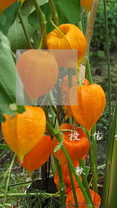 授信到期日還不起貸款 授信到期日還不起貸款