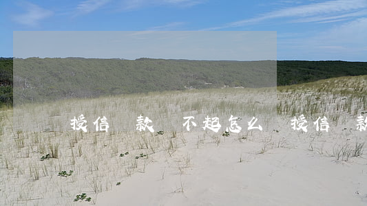 授信貸款還不起怎么辦(授信貸款還款方式)