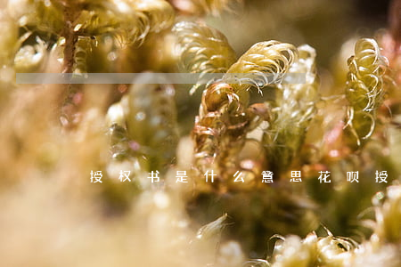 授权书是什么意思(花呗授权书是什么意思)