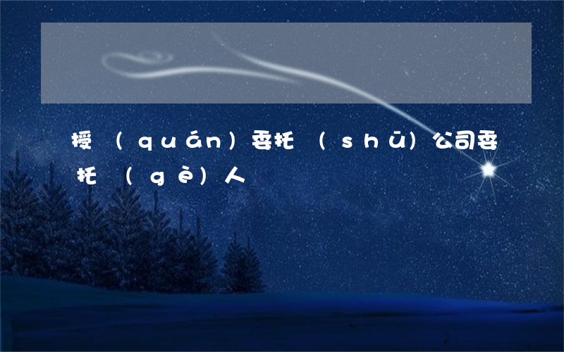 授權(quán)委托書(shū) 公司委托個(gè)人