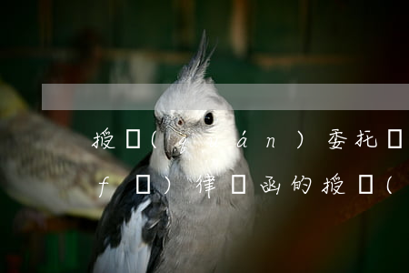 授權(quán)委托書律師專用范本(發(fā)律師函的授權(quán)委托書的范本)