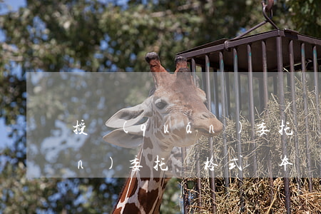 授權(quán)委托書格式(授權(quán)委托書格式樣本)