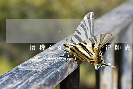 授權(quán)律師委托書3篇