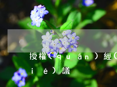 授權(quán)經(jīng)銷協(xié)議