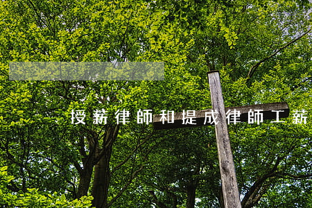 授薪律師和提成律師(工薪律師和授薪律師)