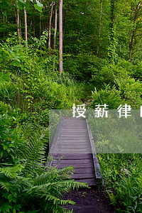 授薪律師提成一般多少(授薪律師有提成嗎)