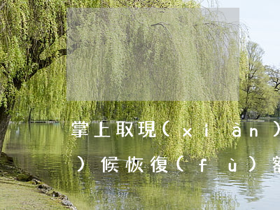掌上取現(xiàn)逾期什么時(shí)候恢復(fù)額度-掌上取現(xiàn)逾期什么時(shí)候恢復(fù)額度啊