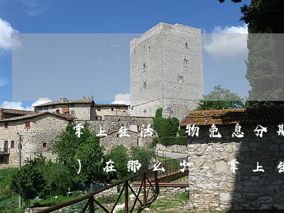 掌上生活購物免息分期為什么現(xiàn)在那么少-掌上生活分期優(yōu)惠什么意思