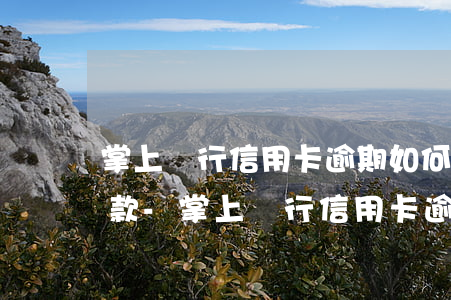 掌上銀行信用卡逾期如何協(xié)商還款-掌上銀行信用卡逾期如何協(xié)商還款呢