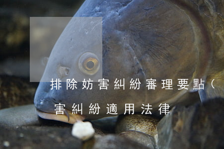 排除妨害糾紛審理要點(diǎn)(排除妨害糾紛適用法律)