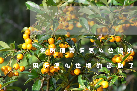 掛失的信用卡怎么也搞的逾期了-掛失的信用卡怎么也搞的逾期了呢
