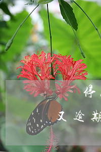 掛帳停息需要處理完逾期才行嗎(停息掛賬后又逾期會怎樣)