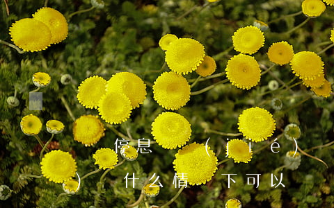 掛賬停息凍結(jié)證券帳號(hào)嗎(什么情況下可以凍結(jié)證券賬戶)