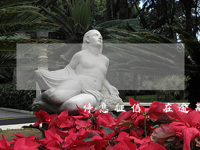 掛賬停息征信還在逾期嗎(停息掛賬會上征信嗎)