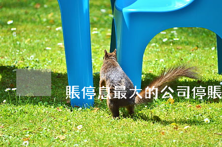掛賬停息最大的公司 停賬掛息是什么意思