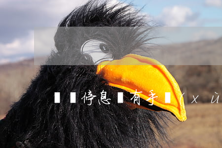 掛賬停息還有手續(xù)費(fèi)嗎