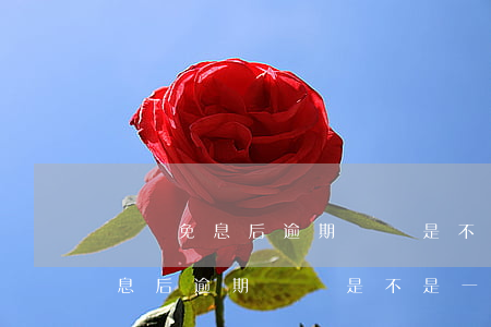 掛賬免息后逾期記錄是不是一直在-掛賬免息后逾期記錄是不是一直在呢