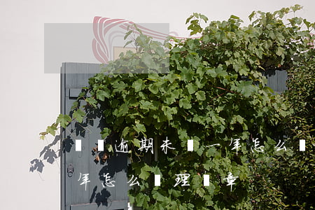 掛車逾期未檢一年怎么處理(掛車逾期未檢一年怎么處理違章)