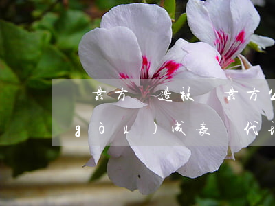 掛靠方偽造被掛靠方公章對外簽訂合同，構(gòu)成表見代理的，被掛靠方應(yīng)承擔(dān)責(zé)任
