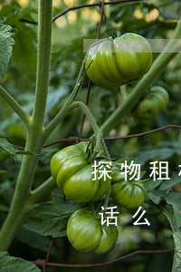 探物租机逾期了-探物租手机给联系人打电话么